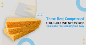 best-compressed-cellulose-sponges