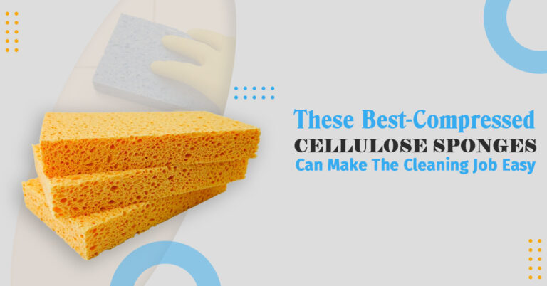 Best Compressed Cellulose Sponges