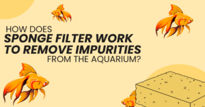 sponge-filter-for-aquarium